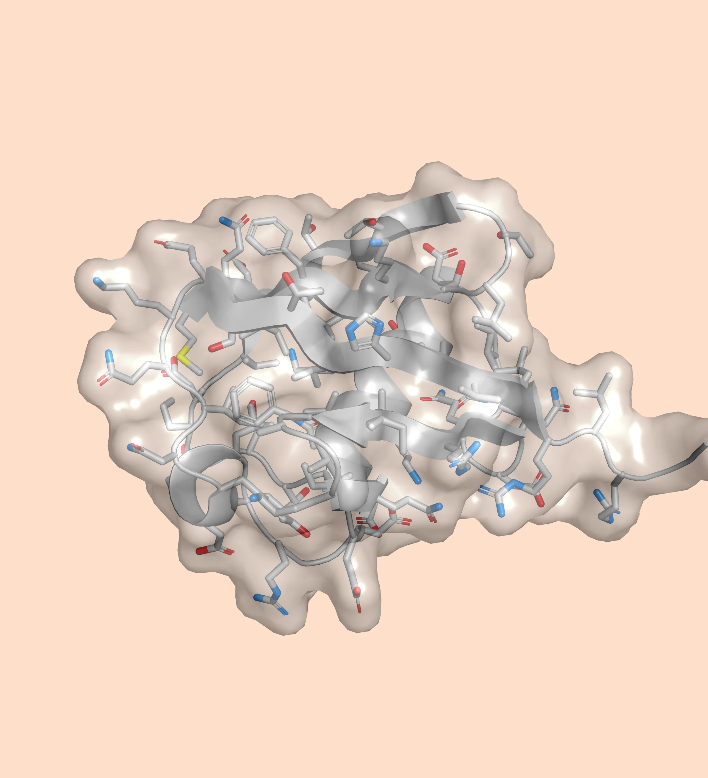 The same scene with a transparent surface in PyMOL's OpenGL viewport