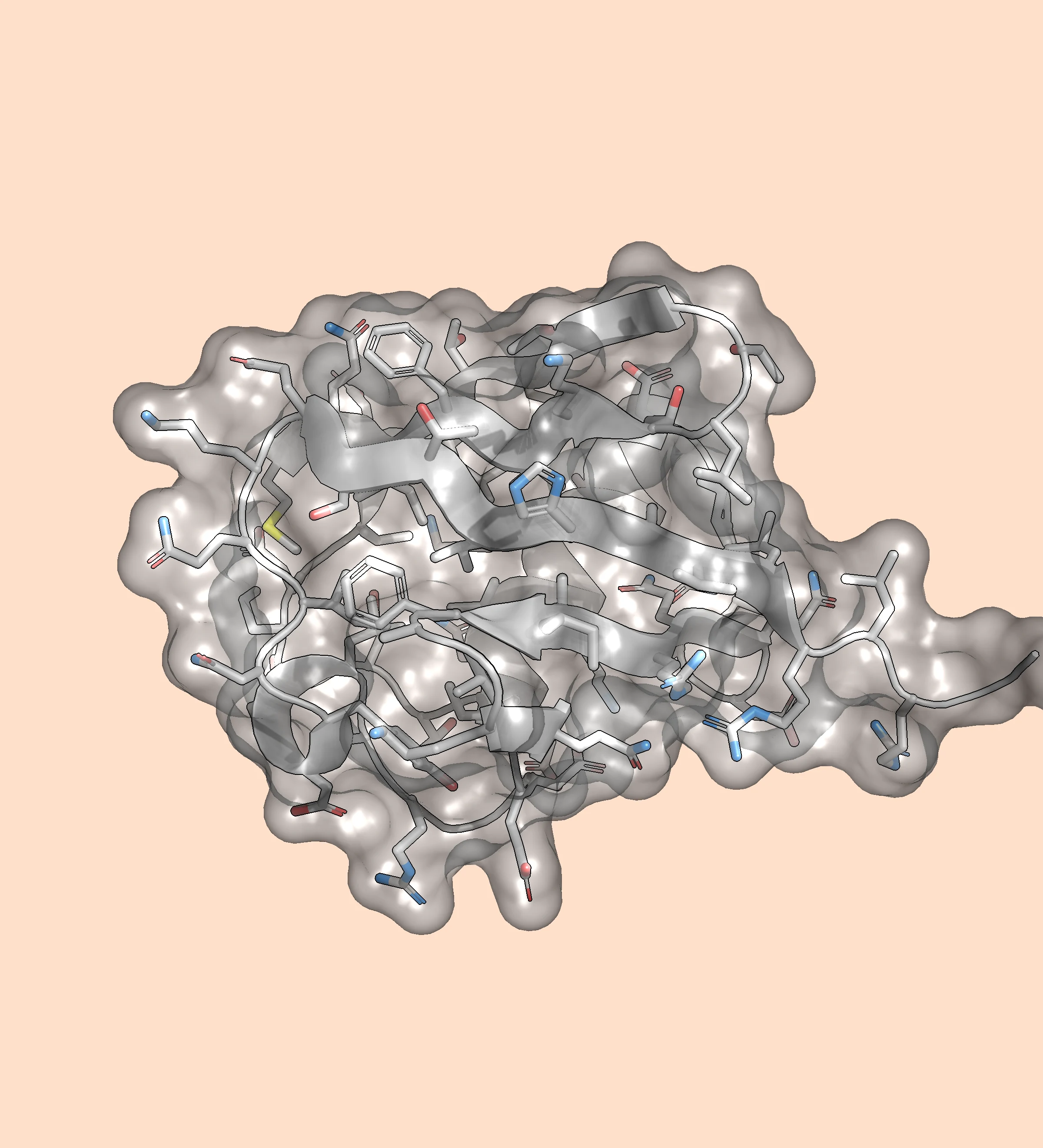 Cartoon, sticks and a semitransparent surface in Raymol