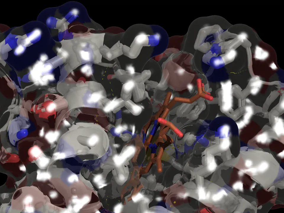 The heme seen through a clear glass surface, with bright glints across the glass
