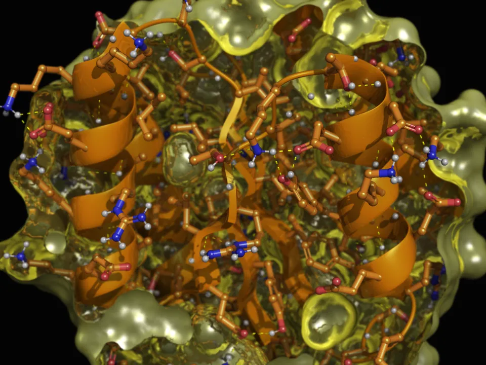 One structure with a different material on each layer: a translucent yellow surface over an orange cartoon and ball-and-stick side chains