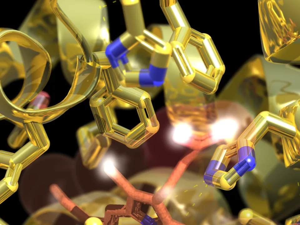Close-up of a gold cartoon whose side chains are gold too, beside the heme